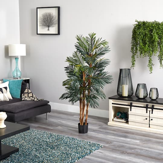 5ft. Potted Robellini Palm Tree